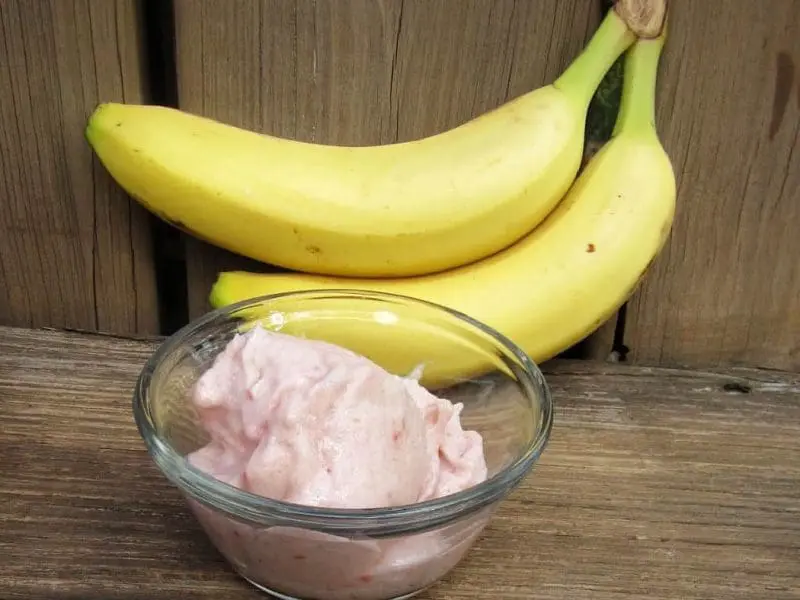 dairy free peppermint ice cream