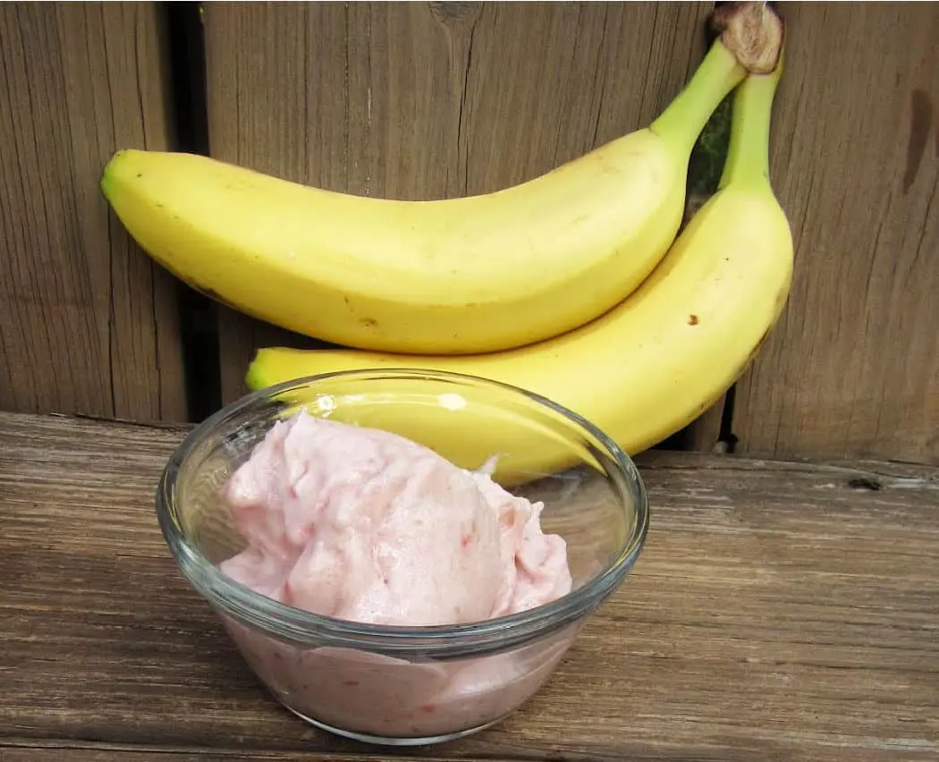 dairy free peppermint ice cream