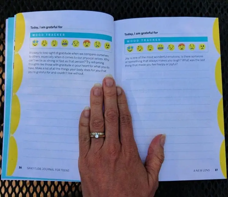 gratitude journal prompts