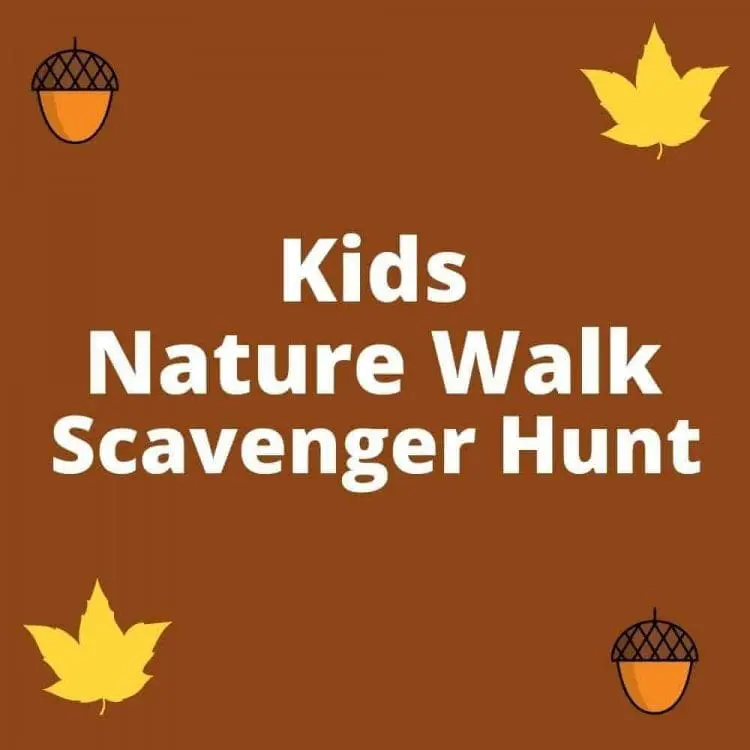 nature scavenger hunt