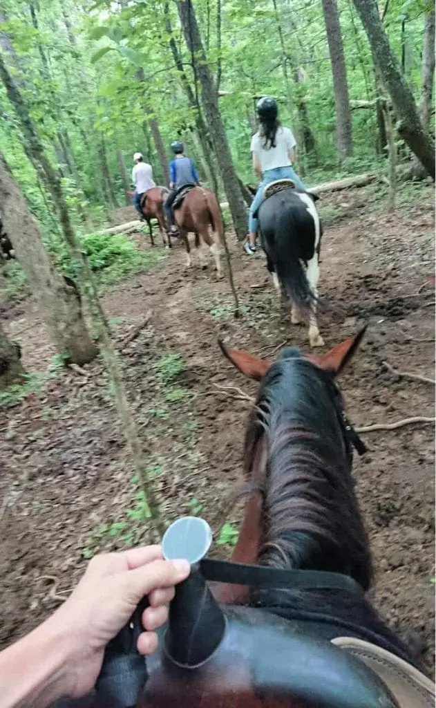 horseback riding ocoee