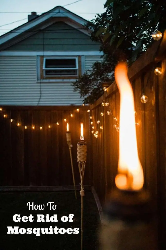 how to get rid of mosquitoes