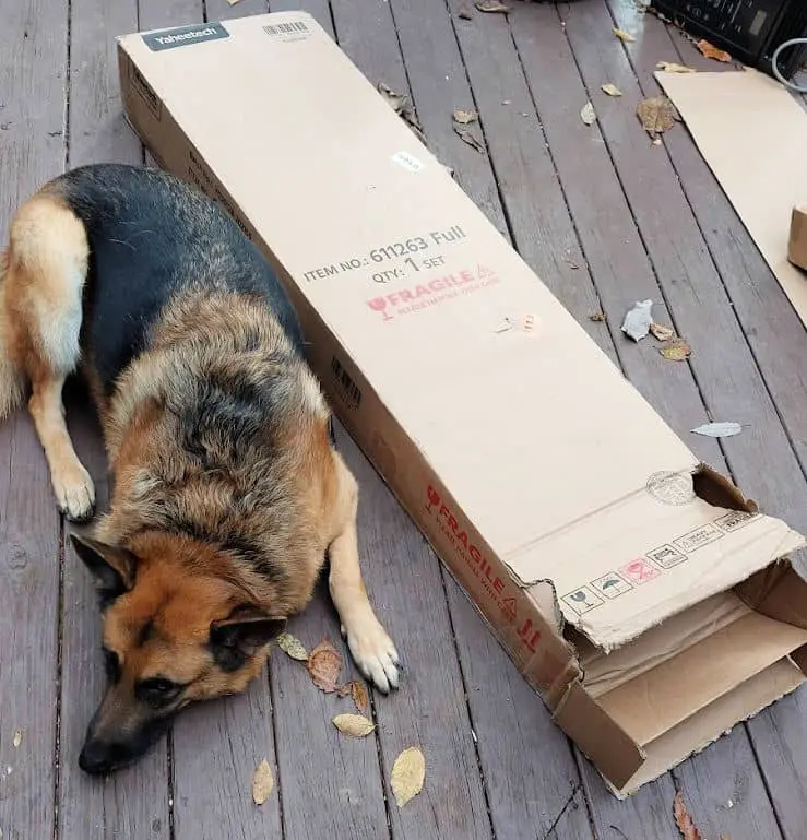 Yaheetech bed frame in box