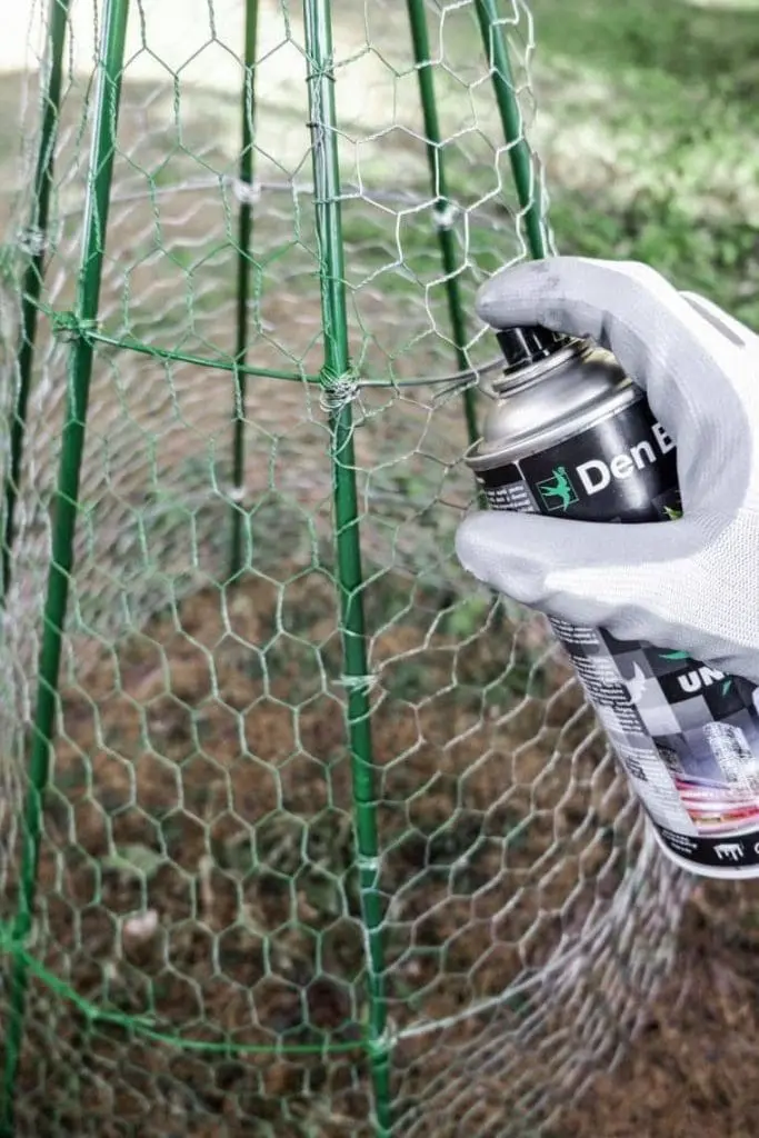 spray paint chicken wire green