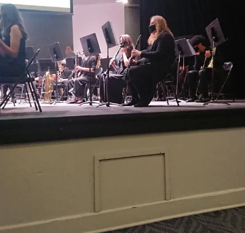 live music performance arts