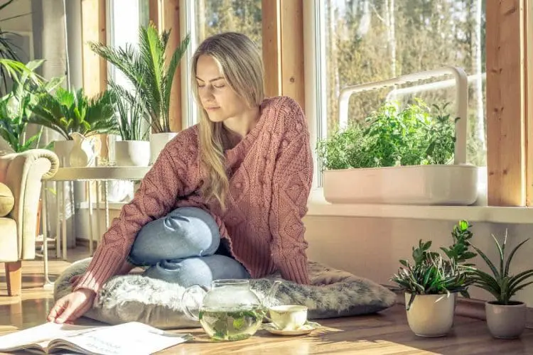 fun, healthy, easy organic gardening
