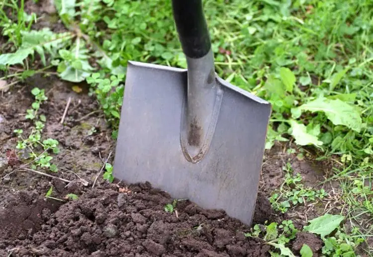 garden soil preparation