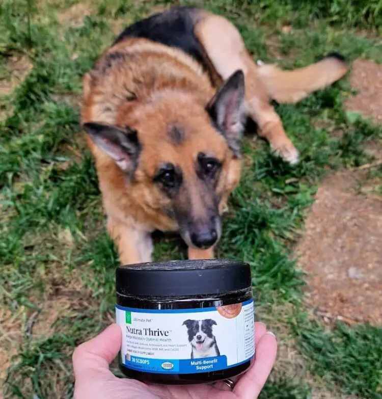 Ultimate Pet Nutra Thrive