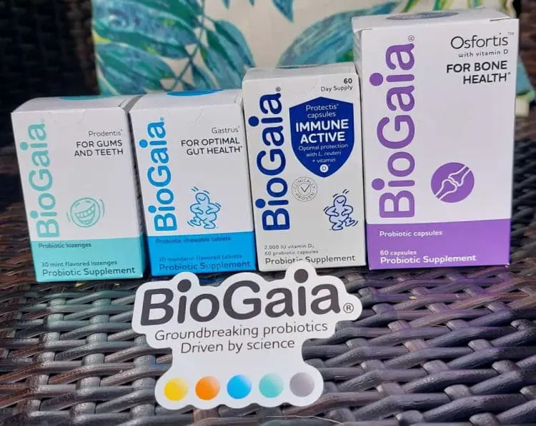 probiotics for adults