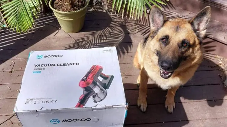 MOOSOO vacuum review