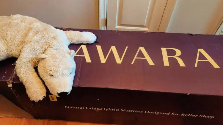 Awara Premier natural hybrid mattress