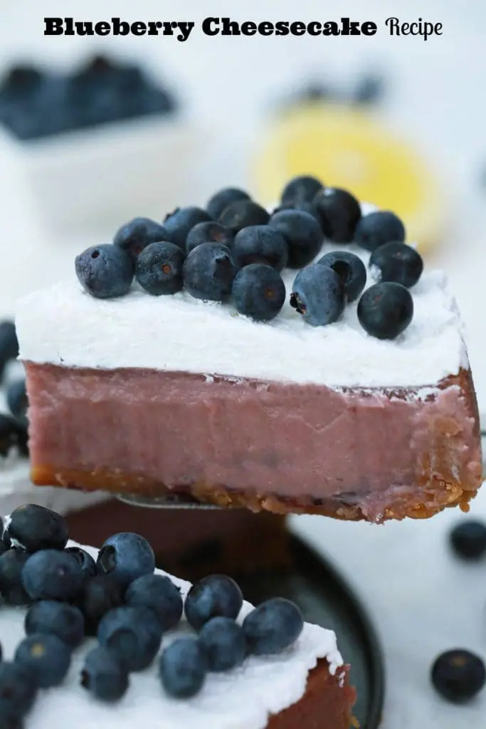 blueberry cheesecake recipe