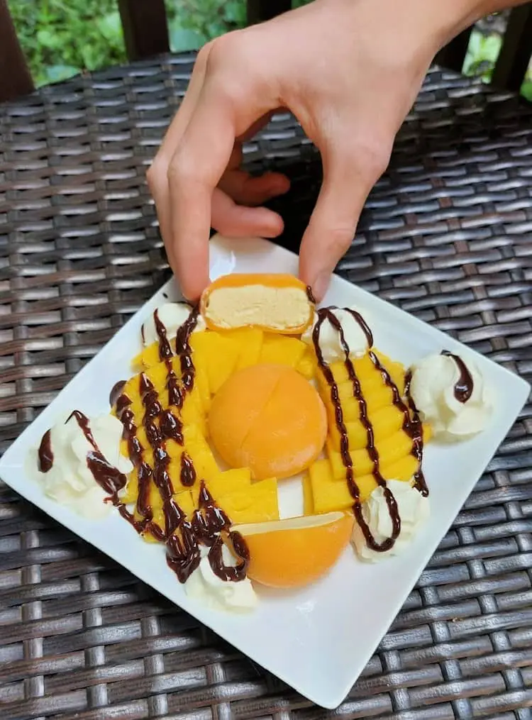 fancy mochi ice cream