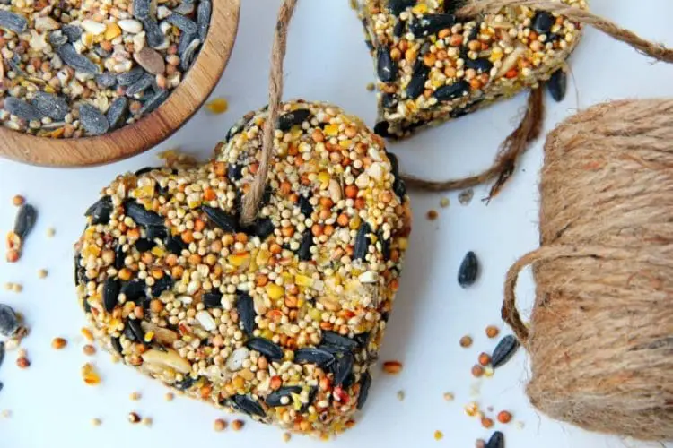 birdseed ornaments