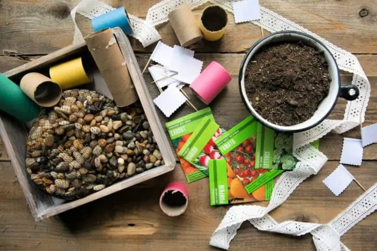 TP roll seedling pots