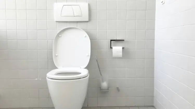water-saving dual flush toilets