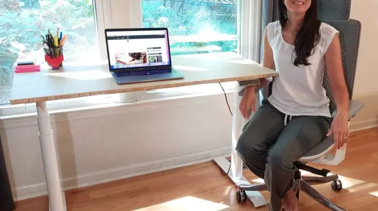 Flexispot Chair