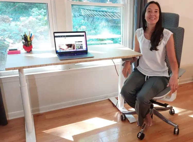 Flexispot Chair