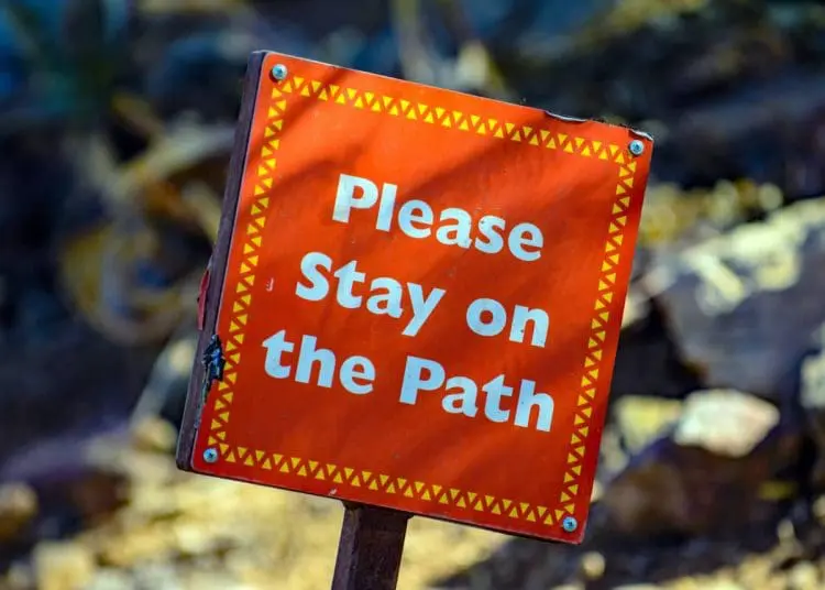 hoe to gwt teens to obey rules