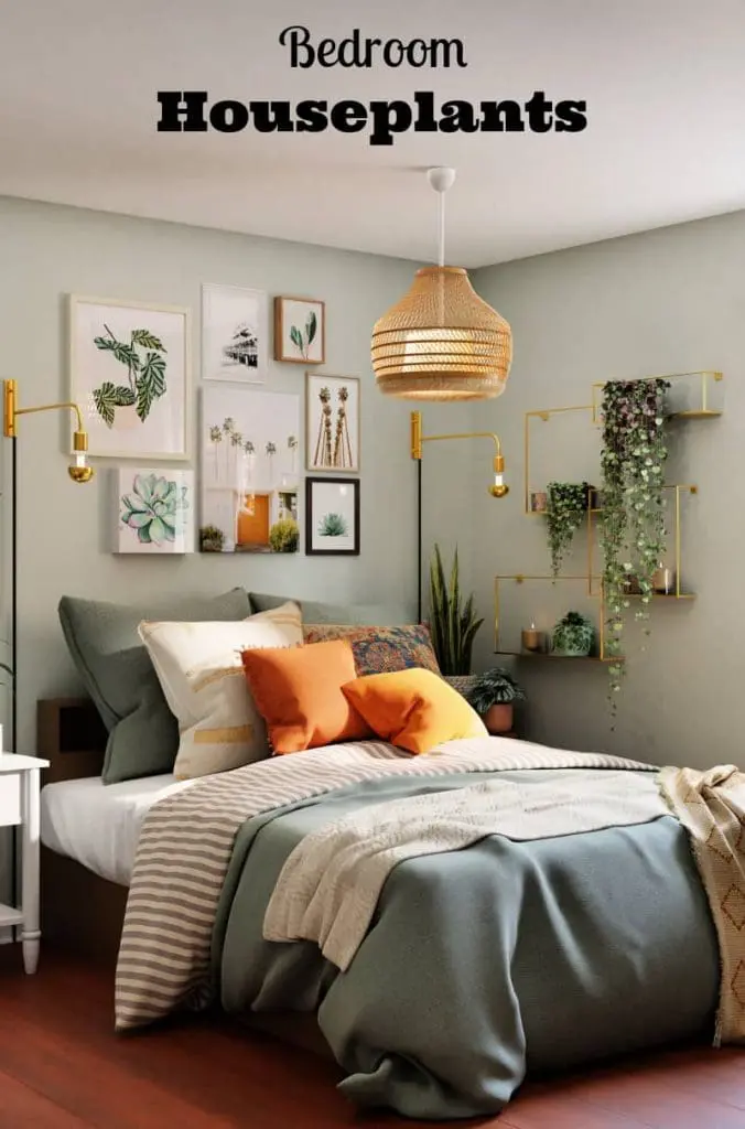 bedroom houseplants