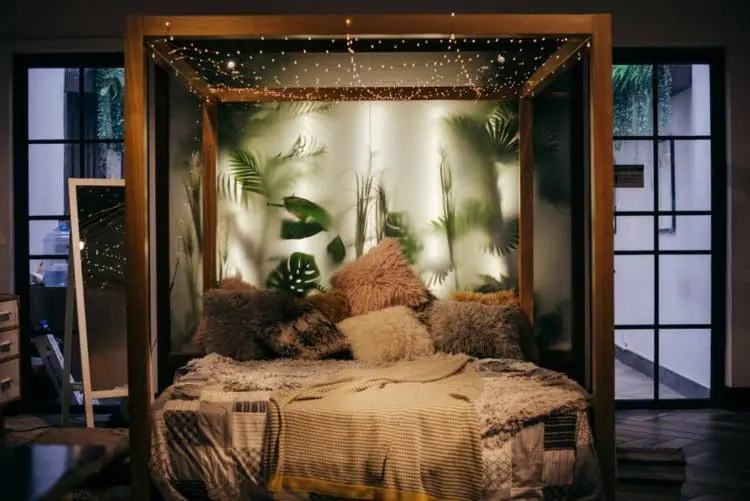 plants for the bedroom