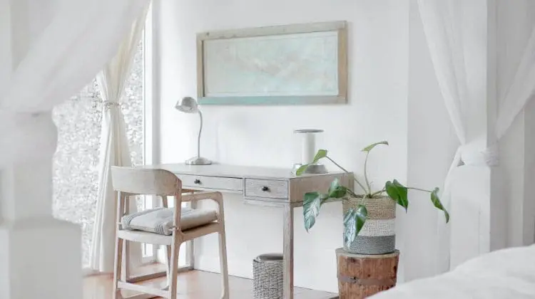 plants for your bedroom