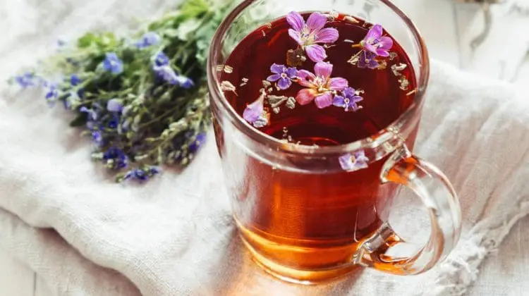 eat less sugar - vitality tonic