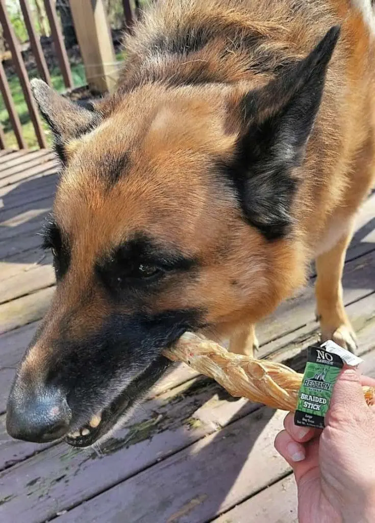 Redbarn braided bully stick