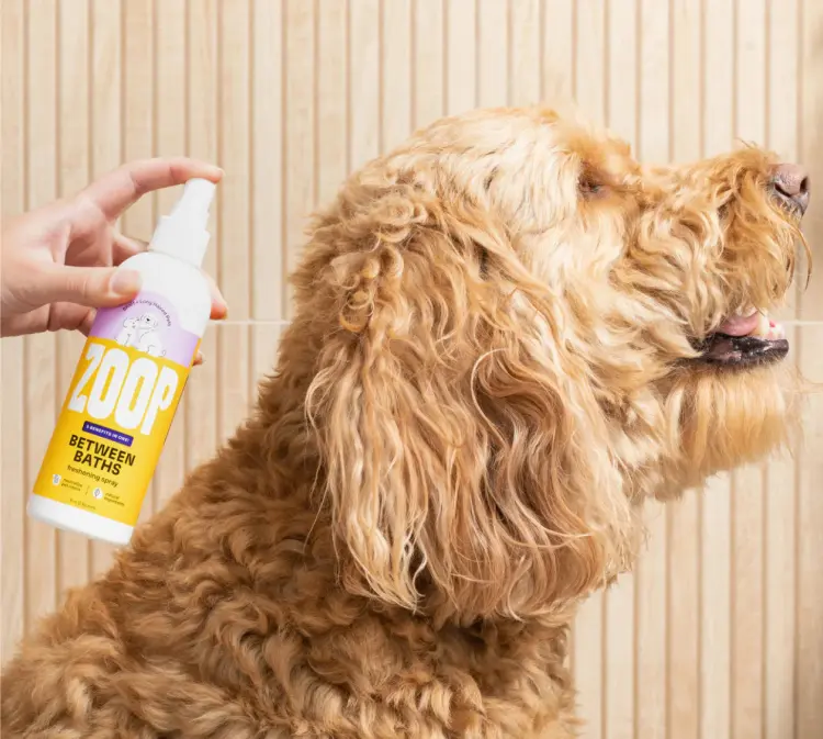 stinky puppy tip