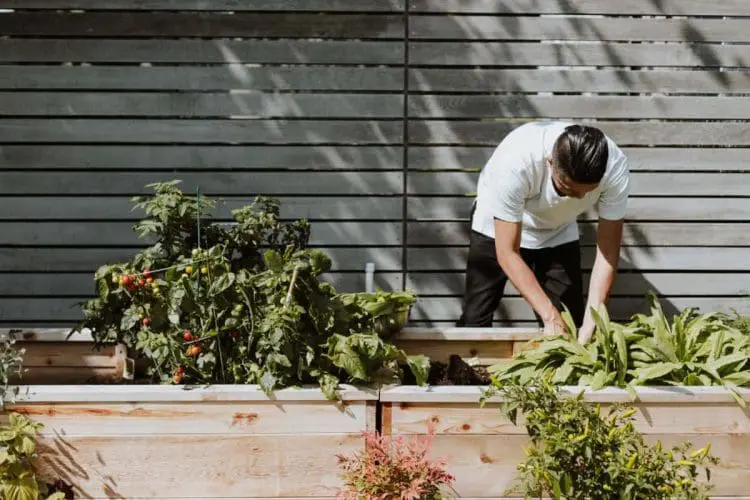 DIY Raised Garden Beds