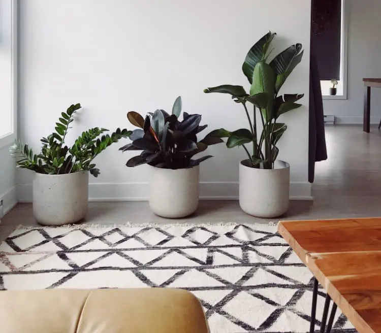 nature inspired home decor