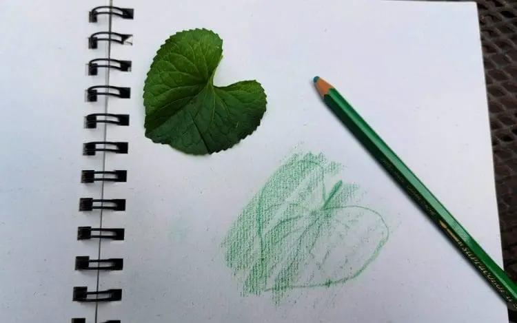 colored pencil rubbing