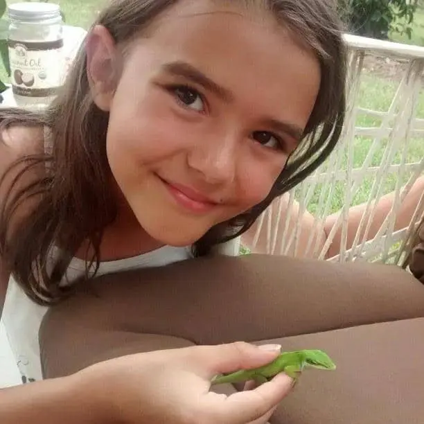 how to catch a lizard
