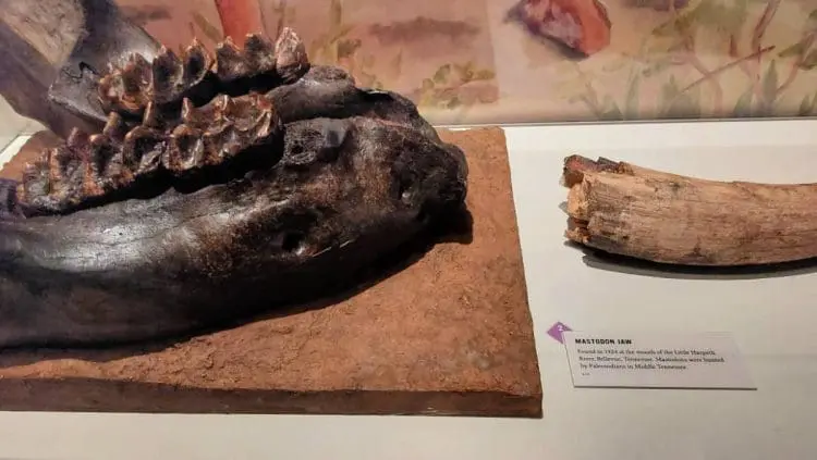Tennessee State Museum