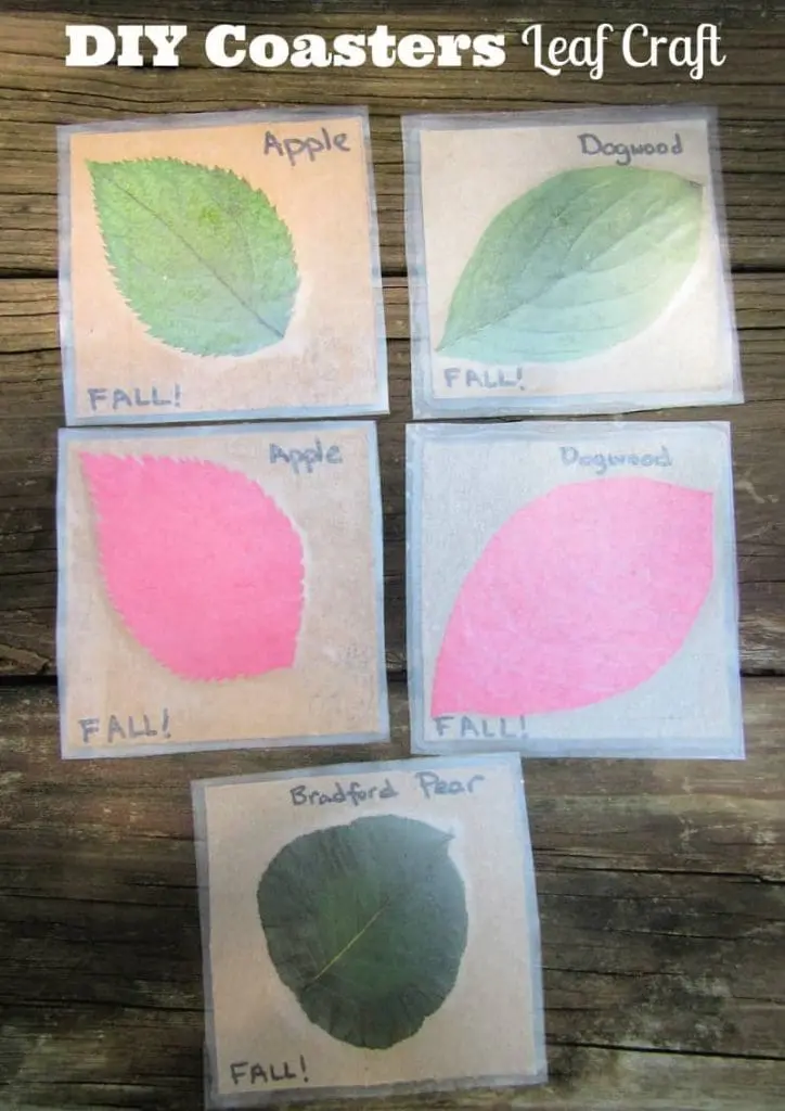 DIY coasters leaf craft