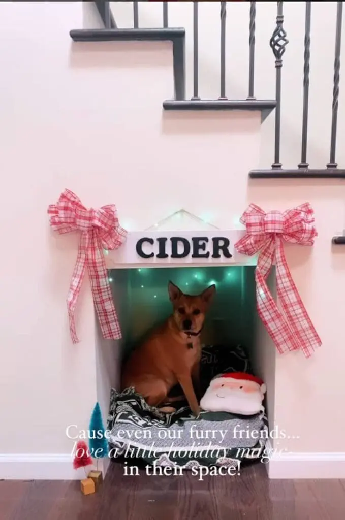 pet nook under the stairs storage