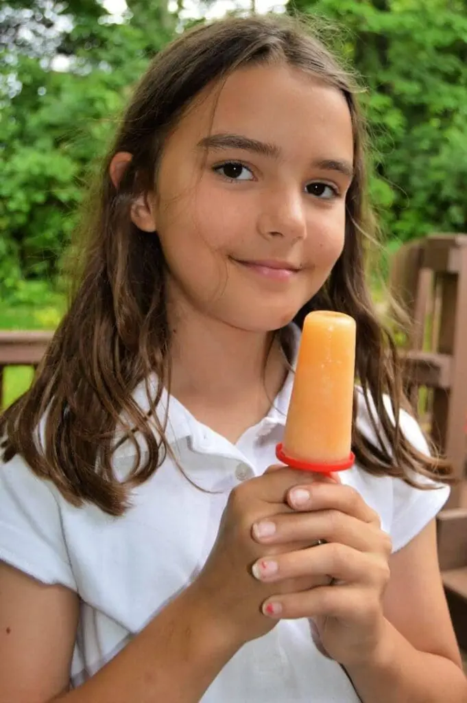 cantaloupe popsicles