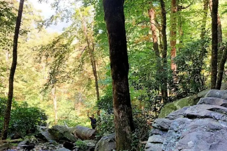 hiking near me