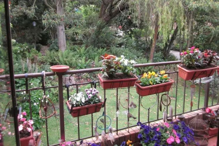 summer window boxes