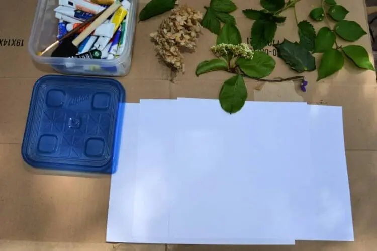 leaf printing supplies