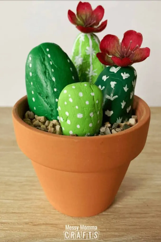 cactus rocks