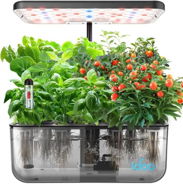 hydroponic garden for kids