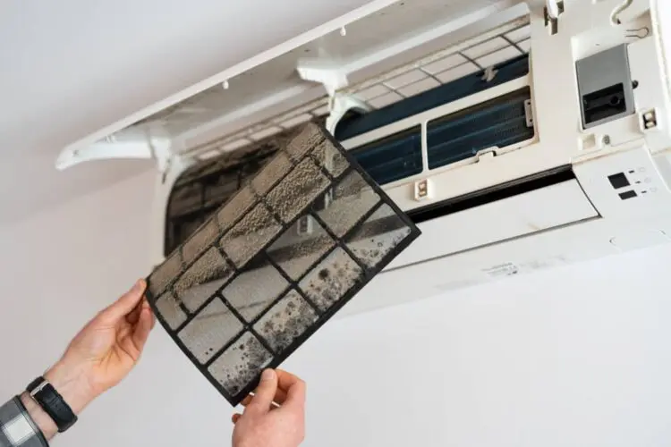 Air Conditioner Maintenance
