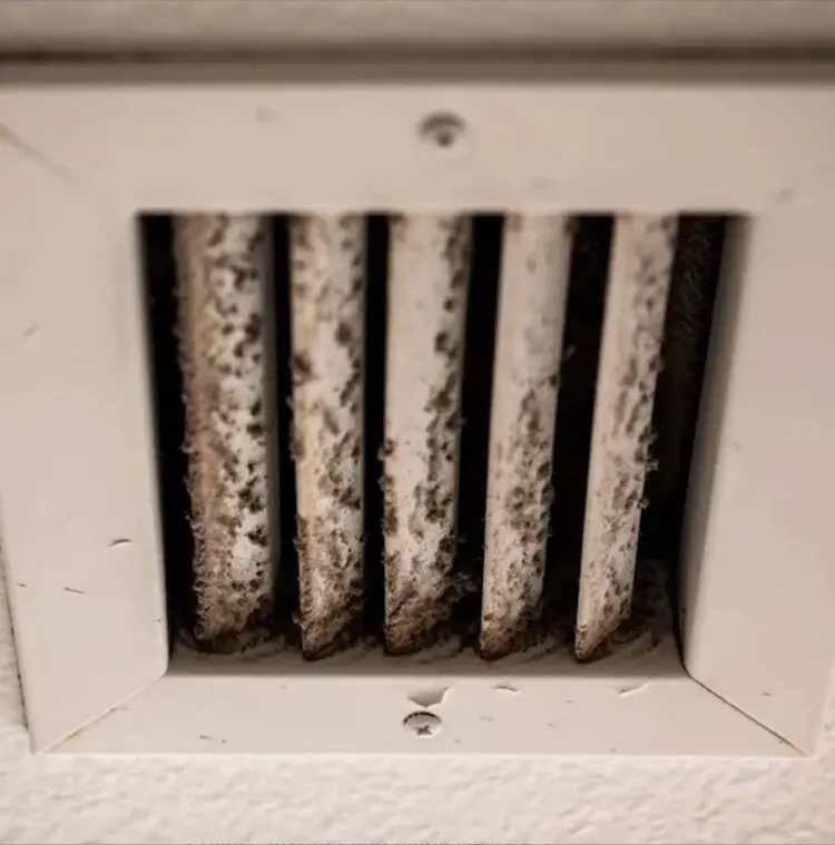 Claro Nashville Mold Removal in HVAC