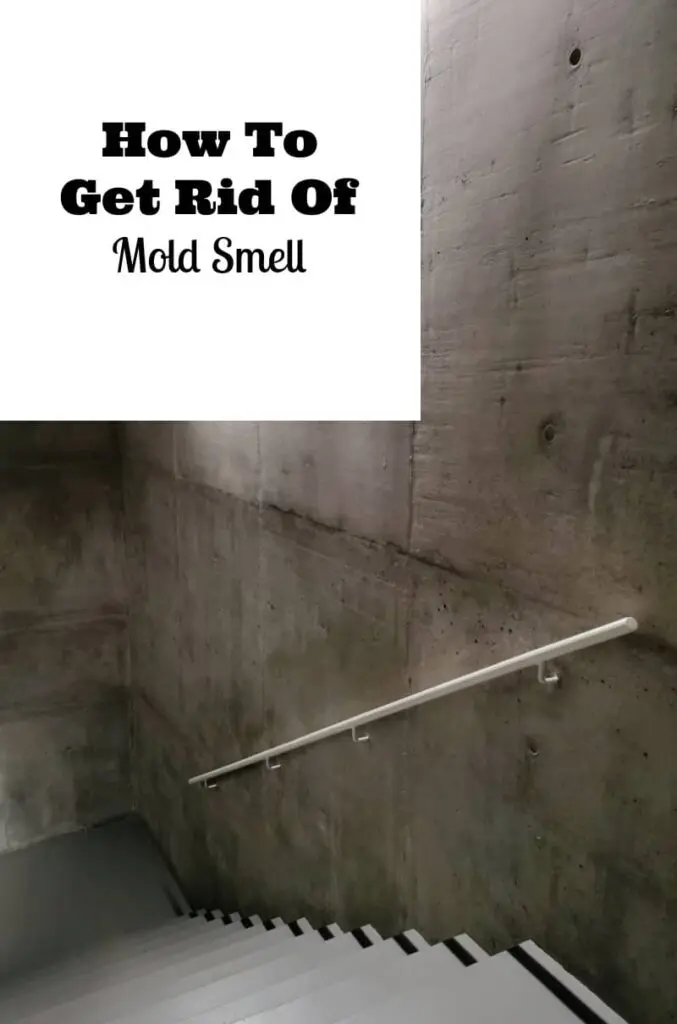 how to get rid of mold smell