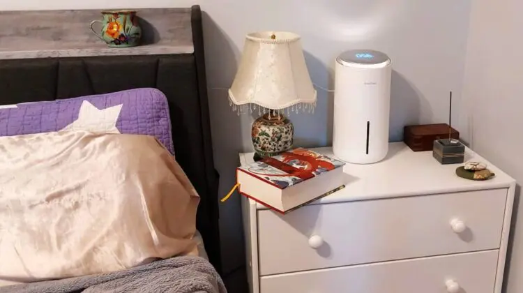 best humidifier
