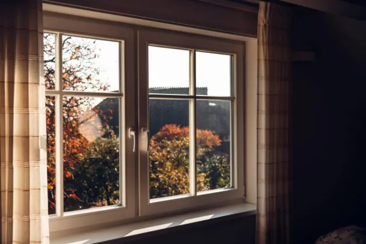new windows