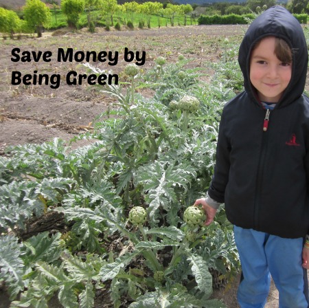 save money by being green- artichoke garden
