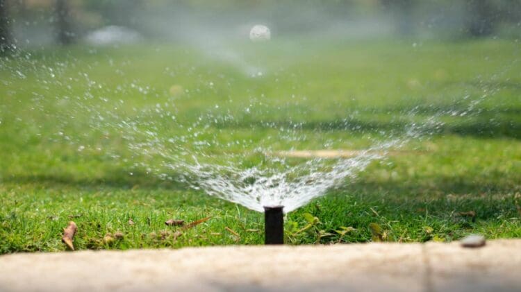 water wisely