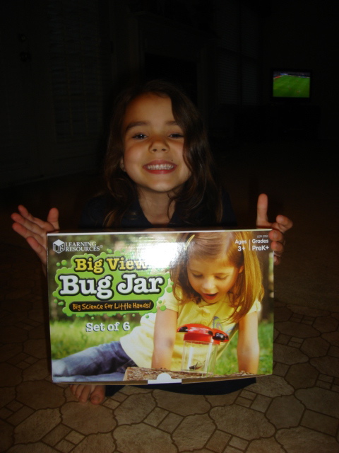 big view bug jar